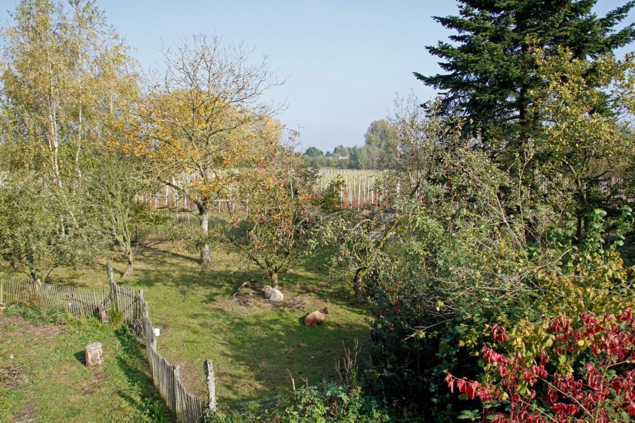 Bed and Breakfast Hof Van Loverrijk Lier Exterior foto